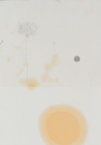 Katarina Frank, från serien "Pages from a Flora", teckning