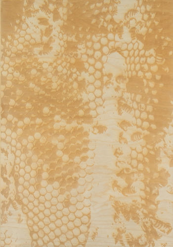 Aldo Zetterman, "Exo Intelligence 2", objekt